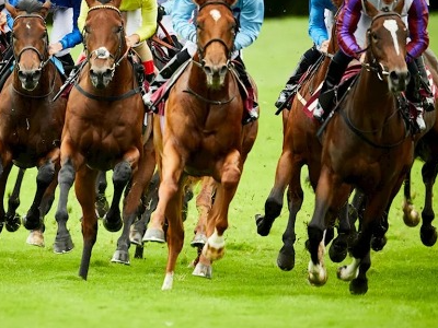The Duckworth Dash at Market Rasen Racecourse