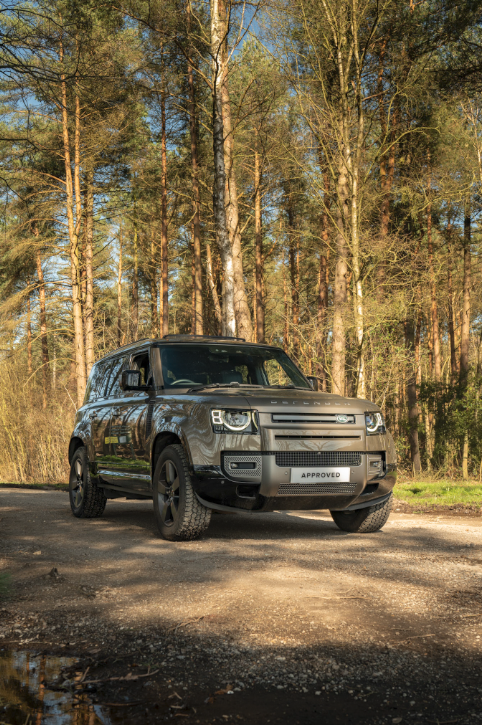 A dark grey SUV parked on a forest path.