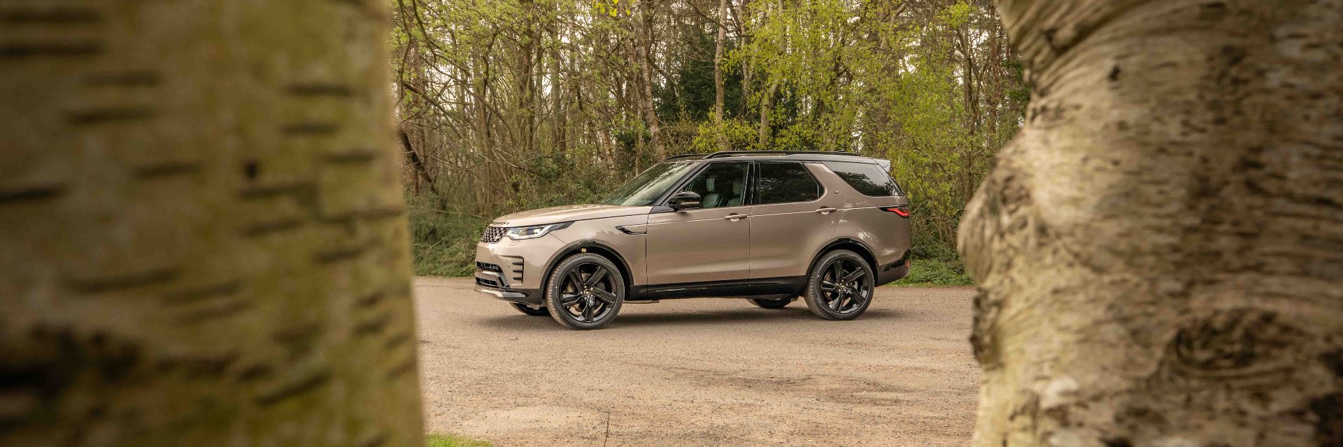SUV parked on a road, viewed through tree trunks in a wooded area.