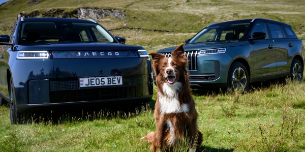 Dog sitting in front of two parked SUVs on grassy terrain.