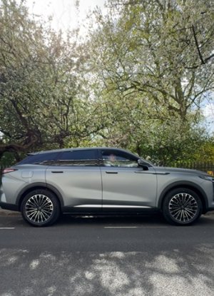 Grey SUV parked on street, surrounded by trees.