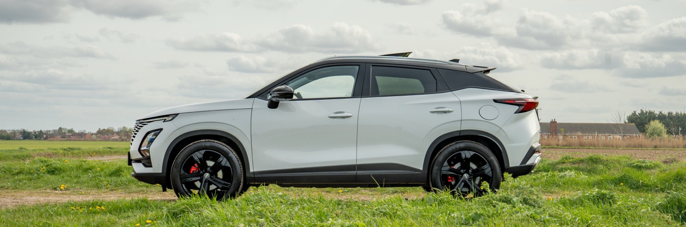 Silver SUV parked on grassy field under cloudy sky.